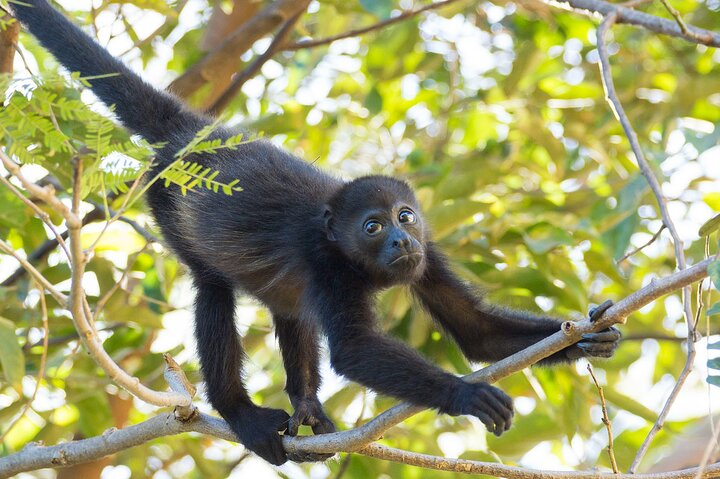 Nature trail + Butterfly garden  - Photo 1 of 2